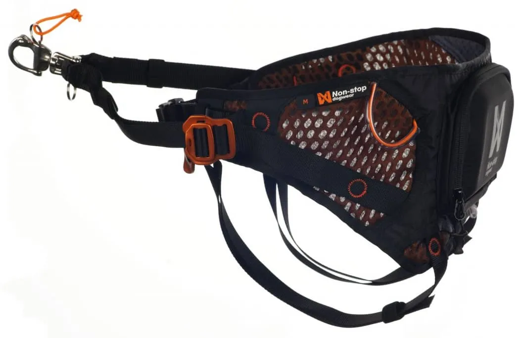 Non-stop Dogwear Løype Belt Orange