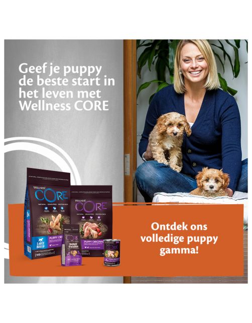 Wellness Core Puppy Trainers Chicken Flavoured With Carrots - Hondensnacks - Kip Wortel 170 g