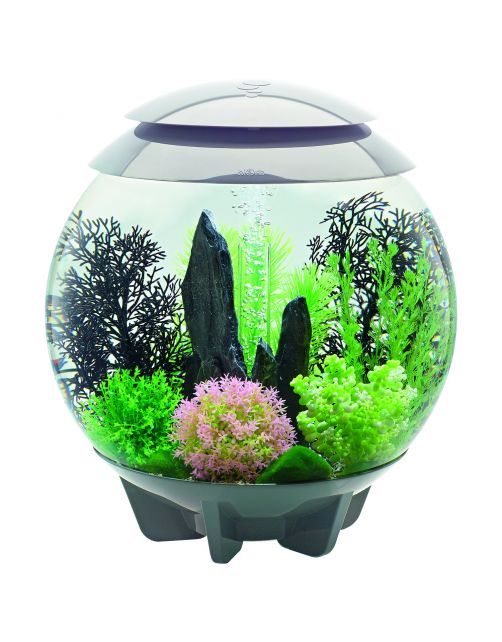 Biorb Aquarium Halo 30 Mcr - Aquaria - 30 l Grijs