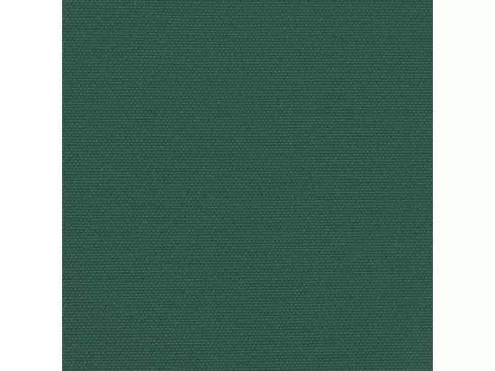 Auvent latéral rétractable vert foncé 160x300 cm
