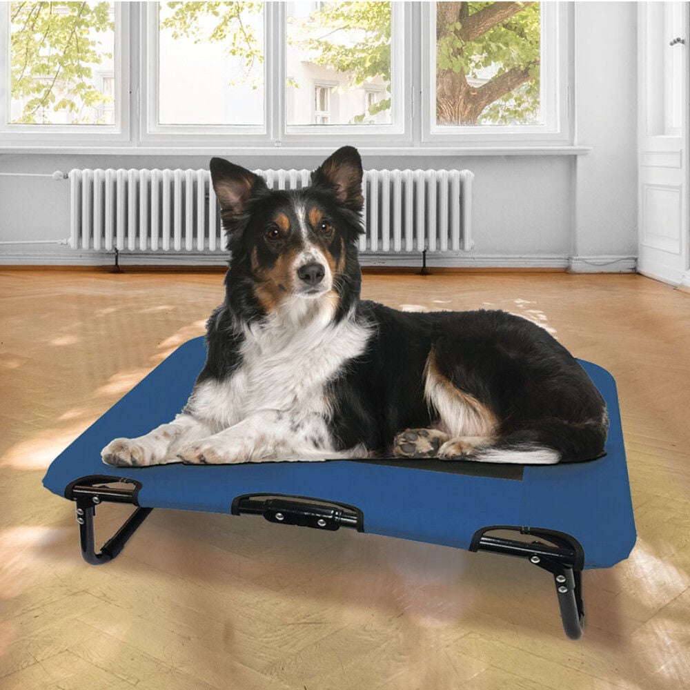 Couchage surélevé pour chien