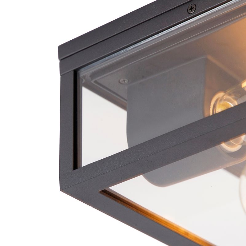 Industriële plafondlamp zwart IP44 2-lichts - Charlois