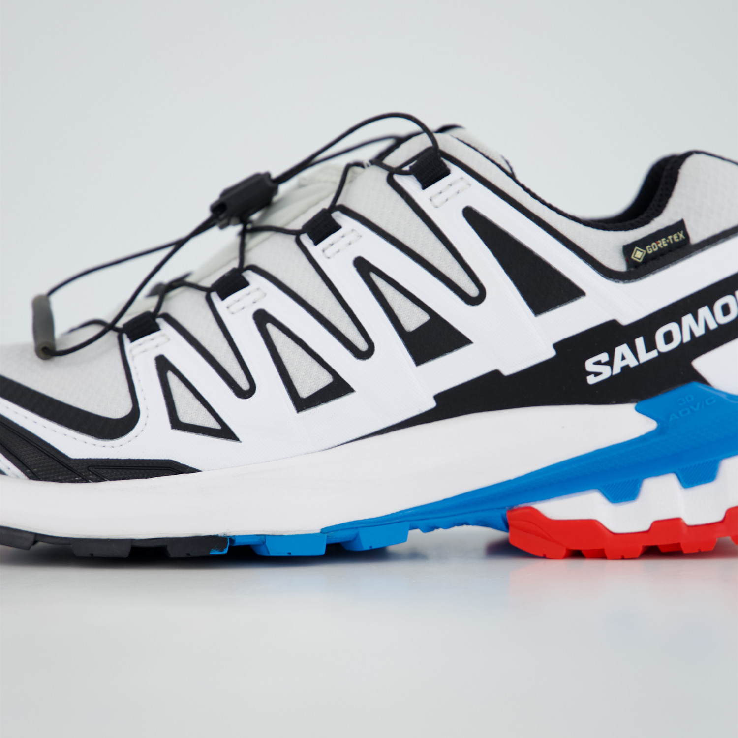 Salomon Schuhe XA PRO 3D V9 GTX W