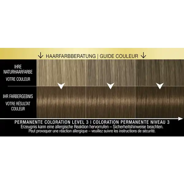 Professional Performance Oleo Intense Permanente Öl-Coloration 6-10 Dunkelblond