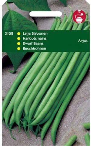 groentezaad Slabonen laag (Phaseolus vulgaris 'Argus')