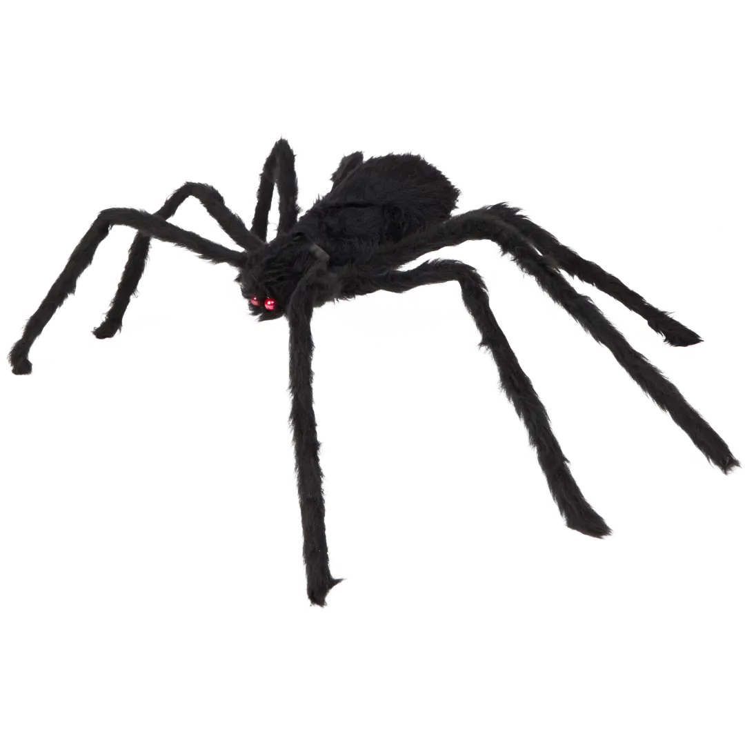 Araignée d'Halloween