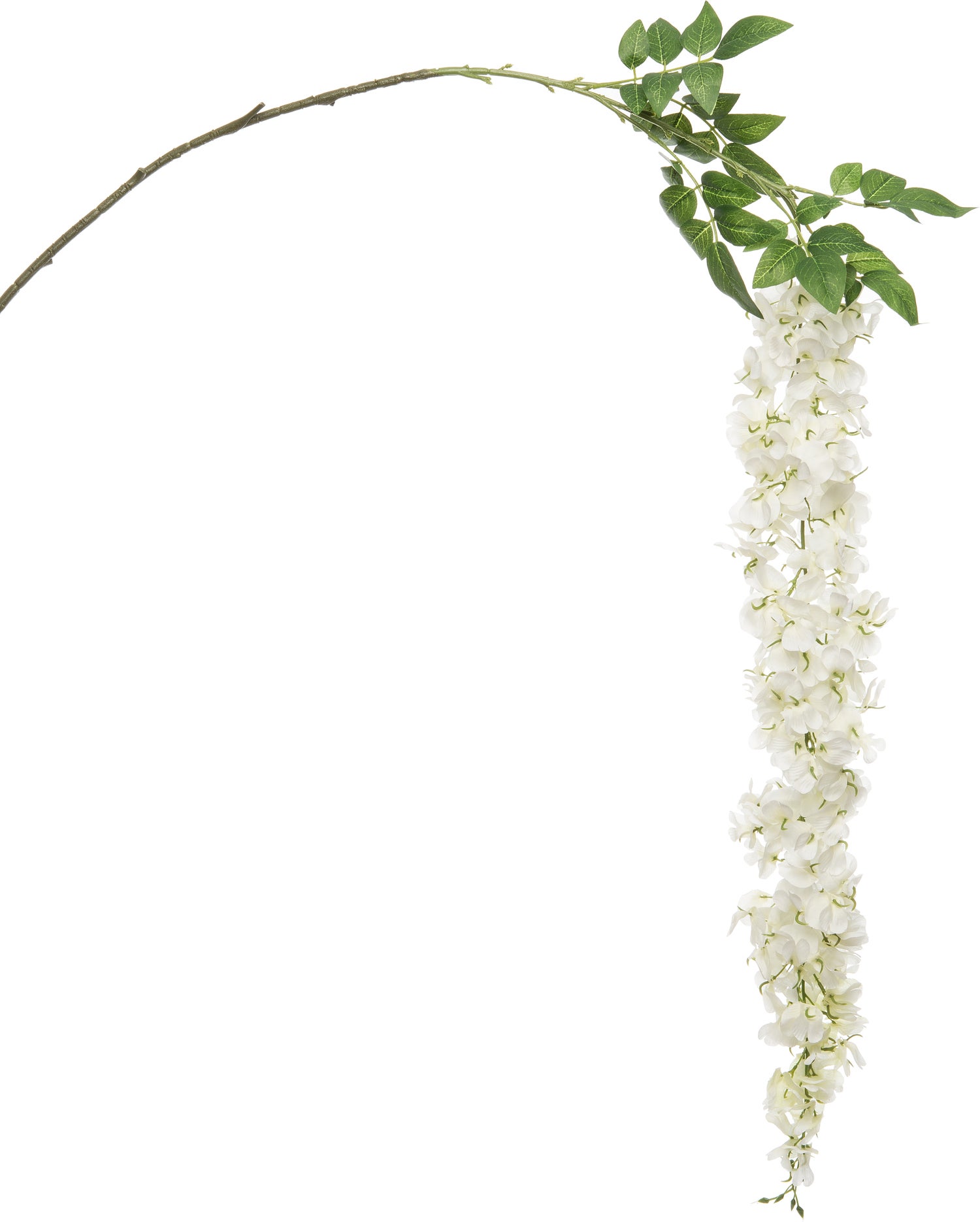 Intratuin kunsttak Wisteria wit H 162 cm