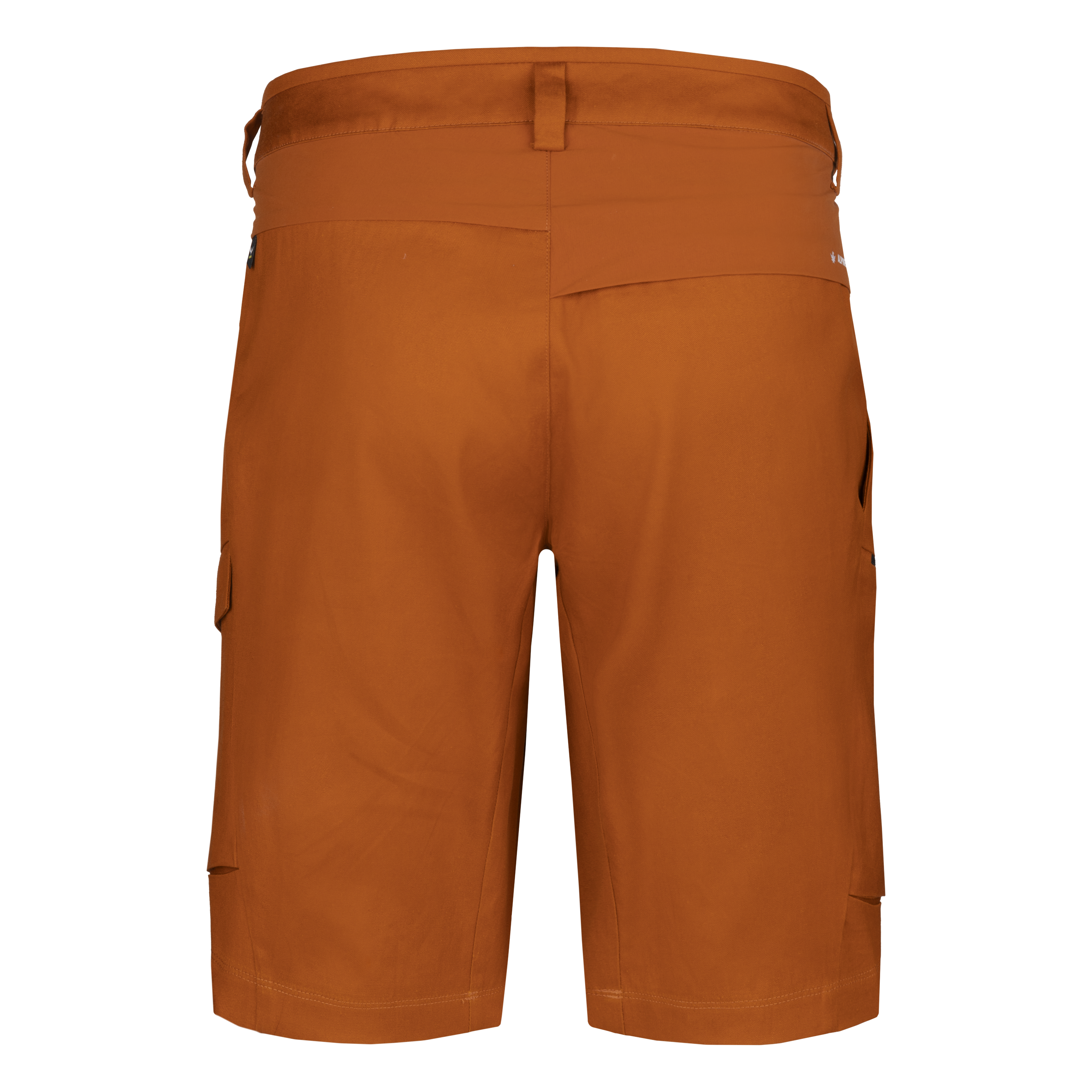 Puez Hemp Cargo Shorts Herren