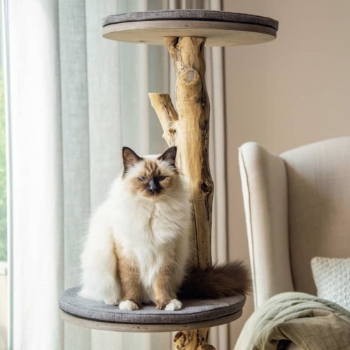Arranhador para gatos desenhado por Lotte Jazz, marrom
