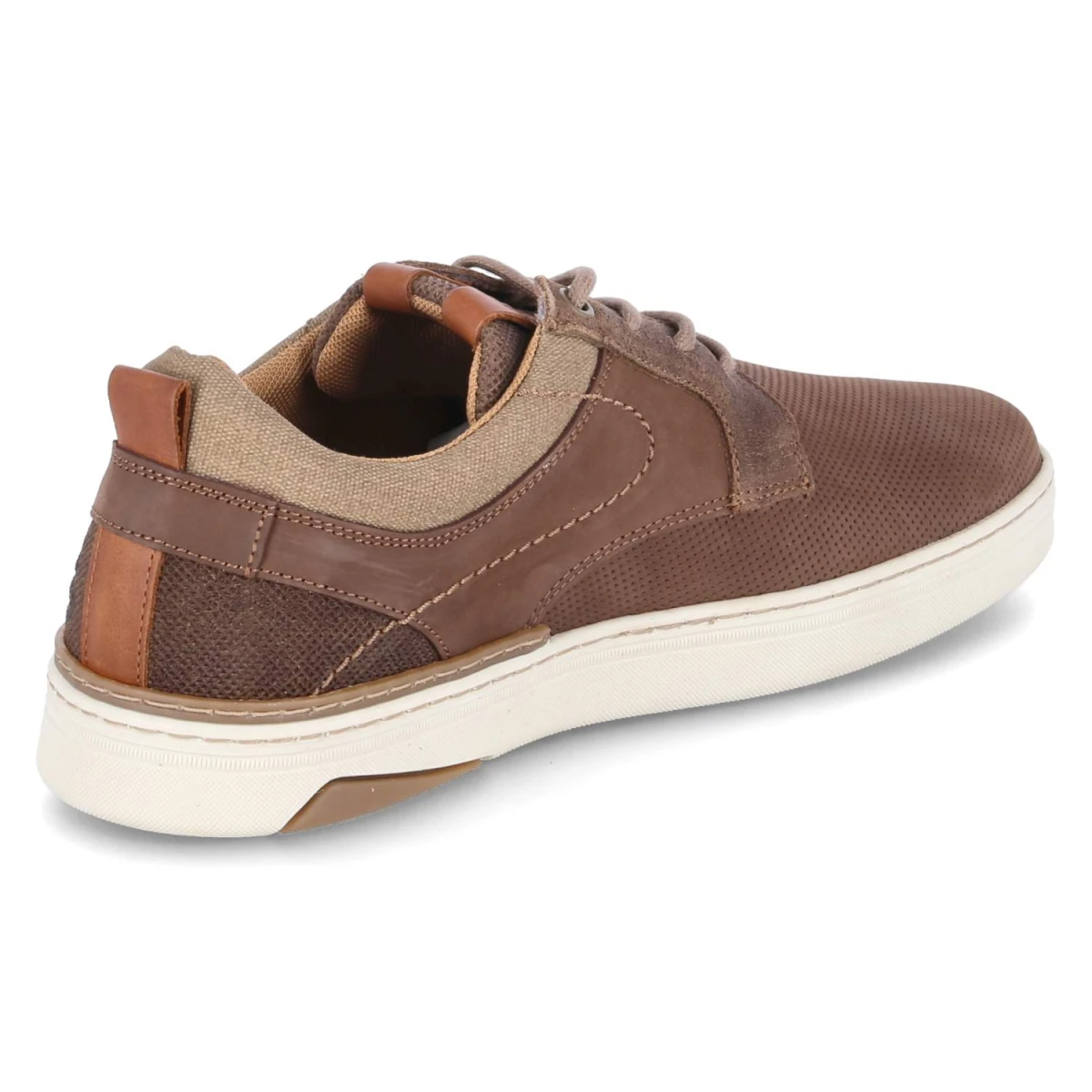 BullboxerLow Sneaker - Dark Brown