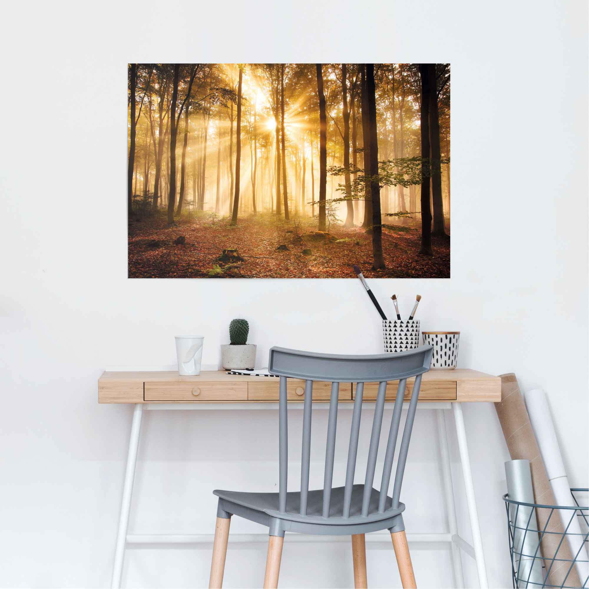 Reinders! Poster »Erleuchteter Wald« 1 Stk. tlg.