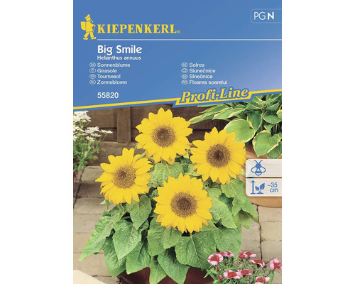 Zonnebloem Big Smile Kiepenkerl Open-pollinated seeds Bloemenzaden