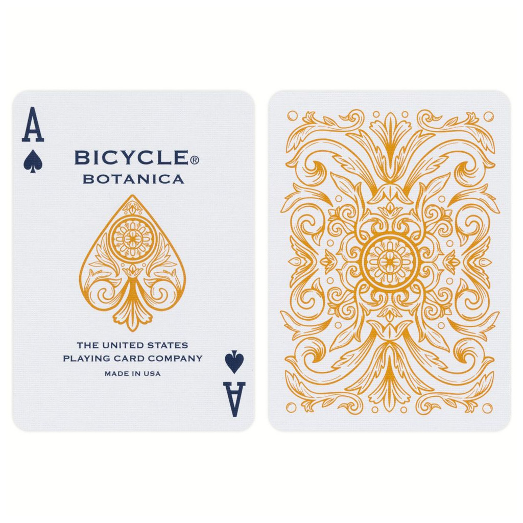Bicycle - Botanica