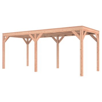 Overkapping Douglas 595x255cm