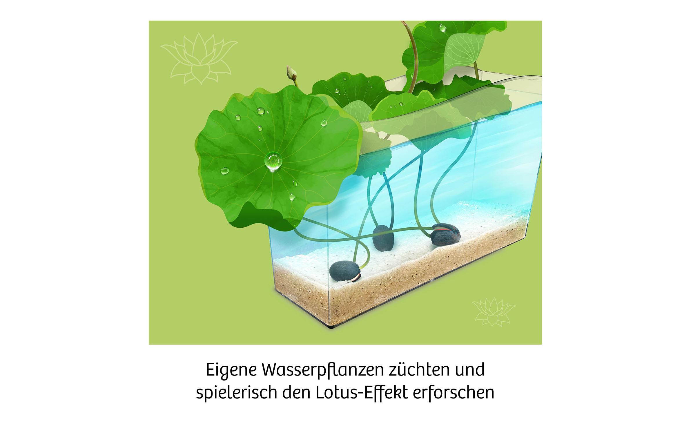 Experimentierkasten LotusblumeEinzigartiges Anzuchtset