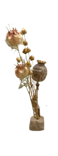Droogbloem in klei M pastel natural
