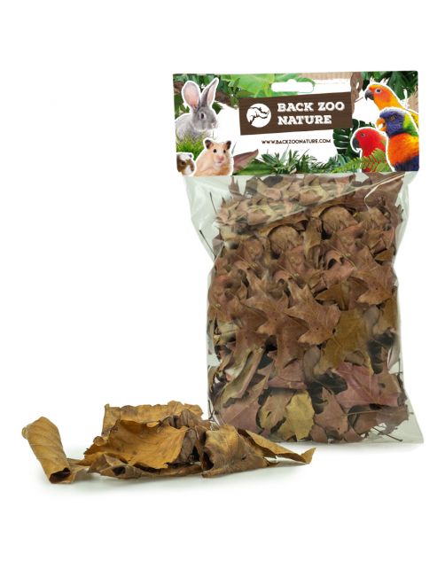Back Zoo Nature Discovery Leaves - Natuurlijk Speelgoed - ca. 35 tot 50 g