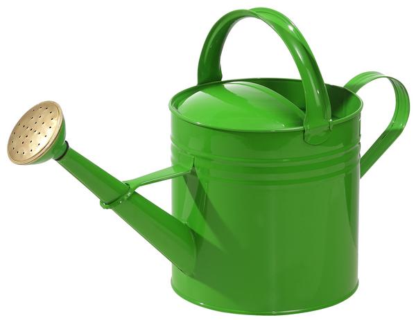 Dehner Zink-Gießkanne, 5 l