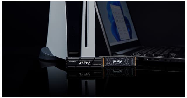 Kingston FURY Renegade NVMe intern SSD med køleplade (1TB)