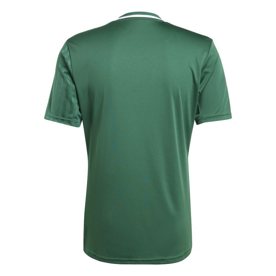 adidas Maillot Campeon 25 - Vert/Blanc