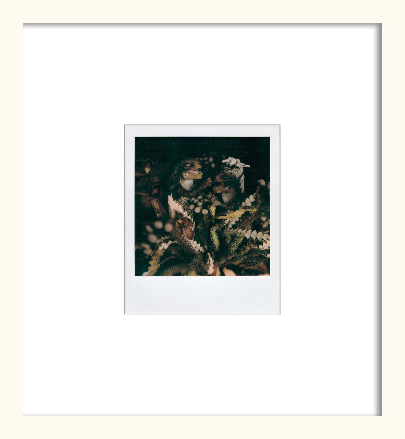 PARADISE by Nobuyoshi Araki - Unique Artwork