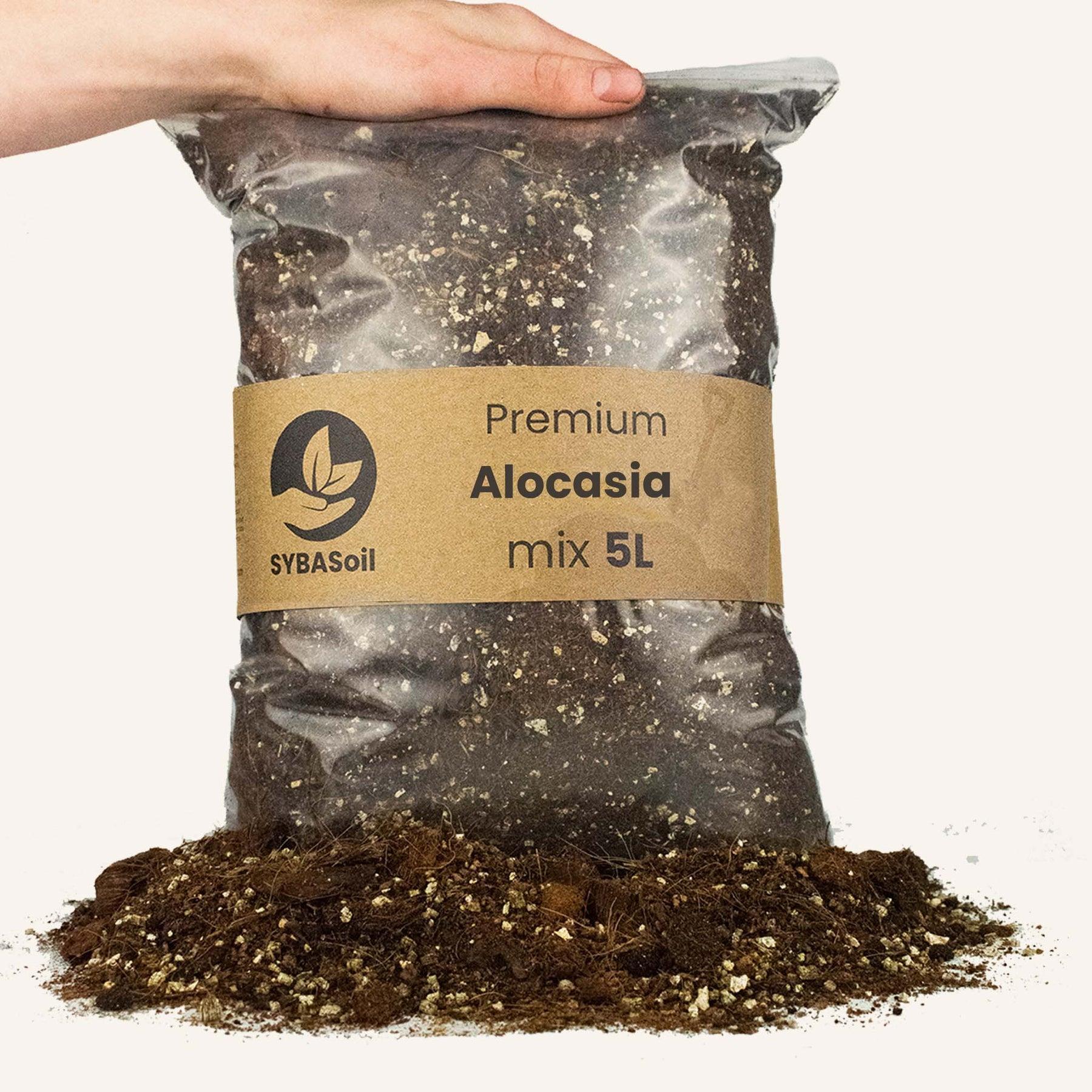 Terreau alocasia - 5l