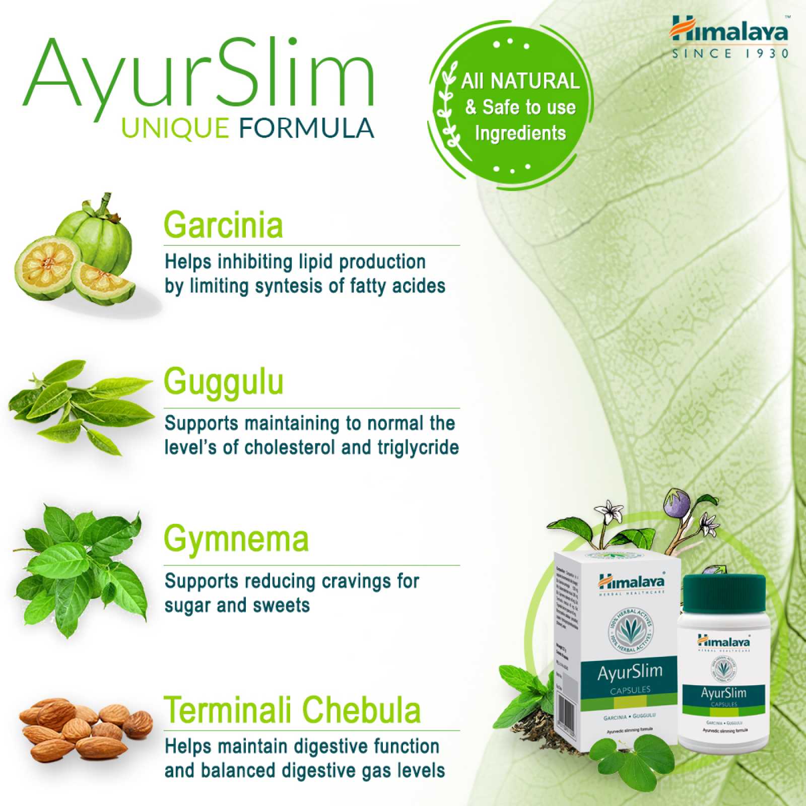 Himalaya Ayurslim 60 cápsulas