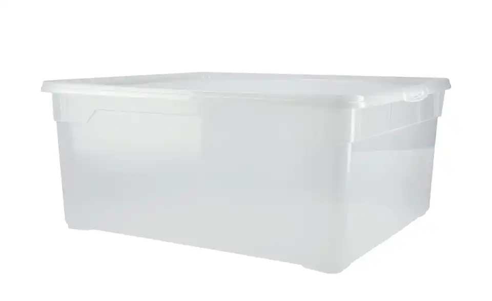 Rotho Aufbewahrungsbox mit Deckel 40 cm