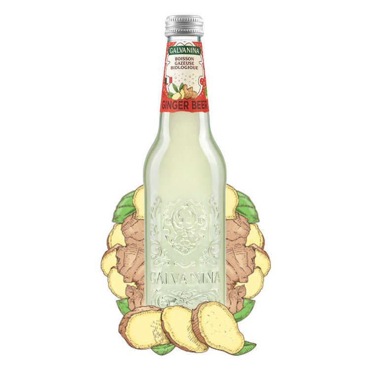 Ginger Beer bio Galvanina