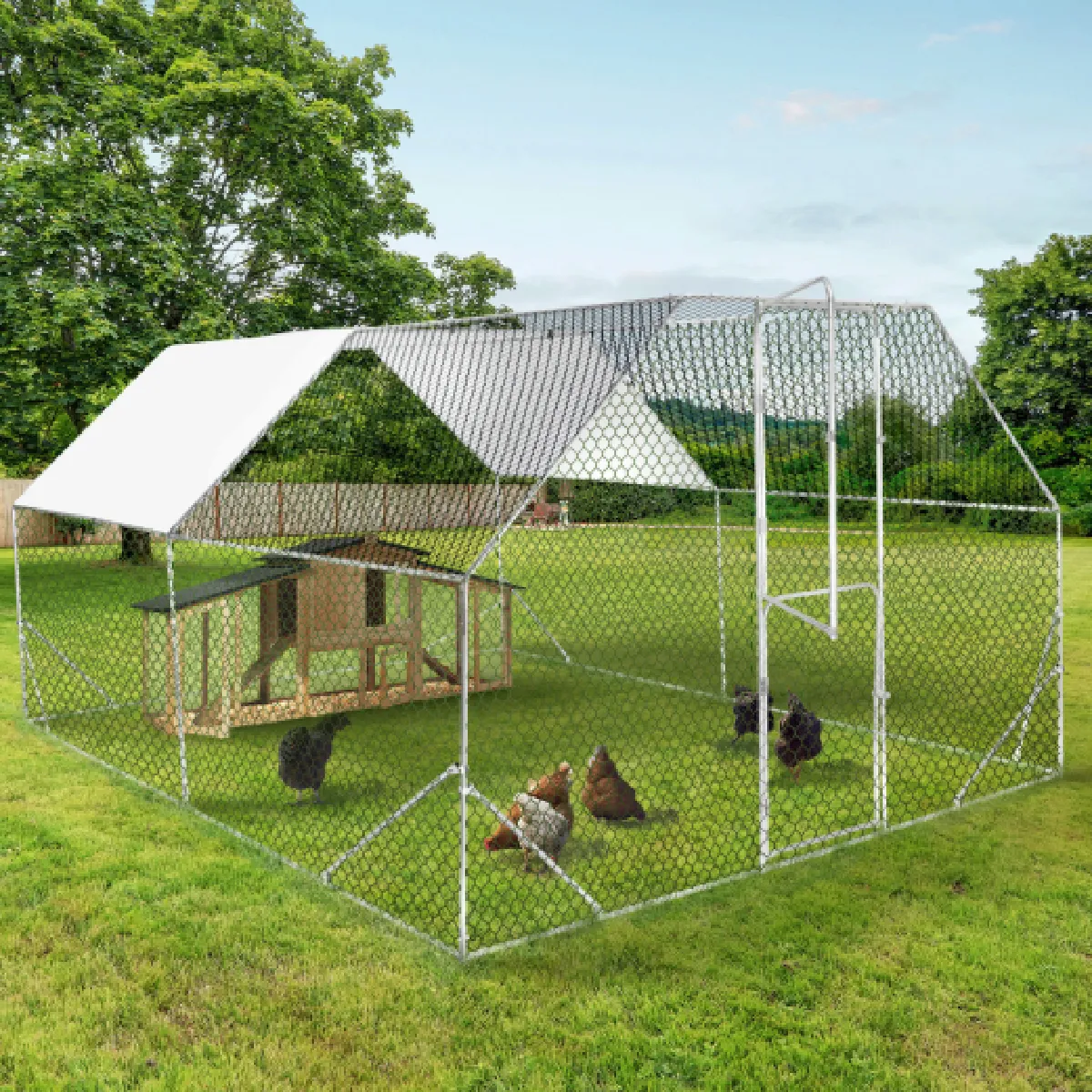 Idmarket MARKET Enclos 12M²