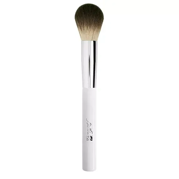 Bionike Defence Color Pinceau Blush