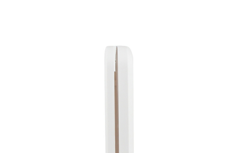 (240x250mm) 4-Wege Katzentür Hunde Freilauf Klappe mit Magnetverschluss - Weiss