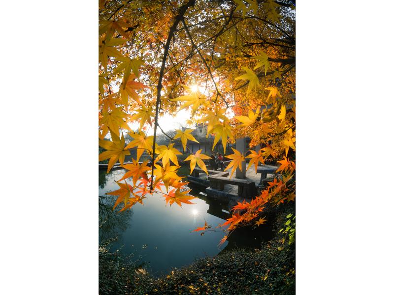 7Artisans Festbrennweite 7.5mm F/2.8 Fisheye Mark II – Niko Festbrennweite der zweiten Generation