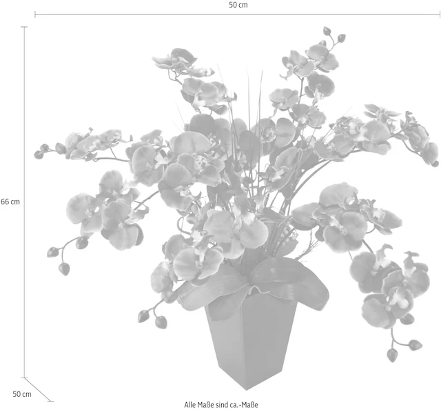 I.GE.A. Kunstpflanze »Phalaenopsis im Topf«