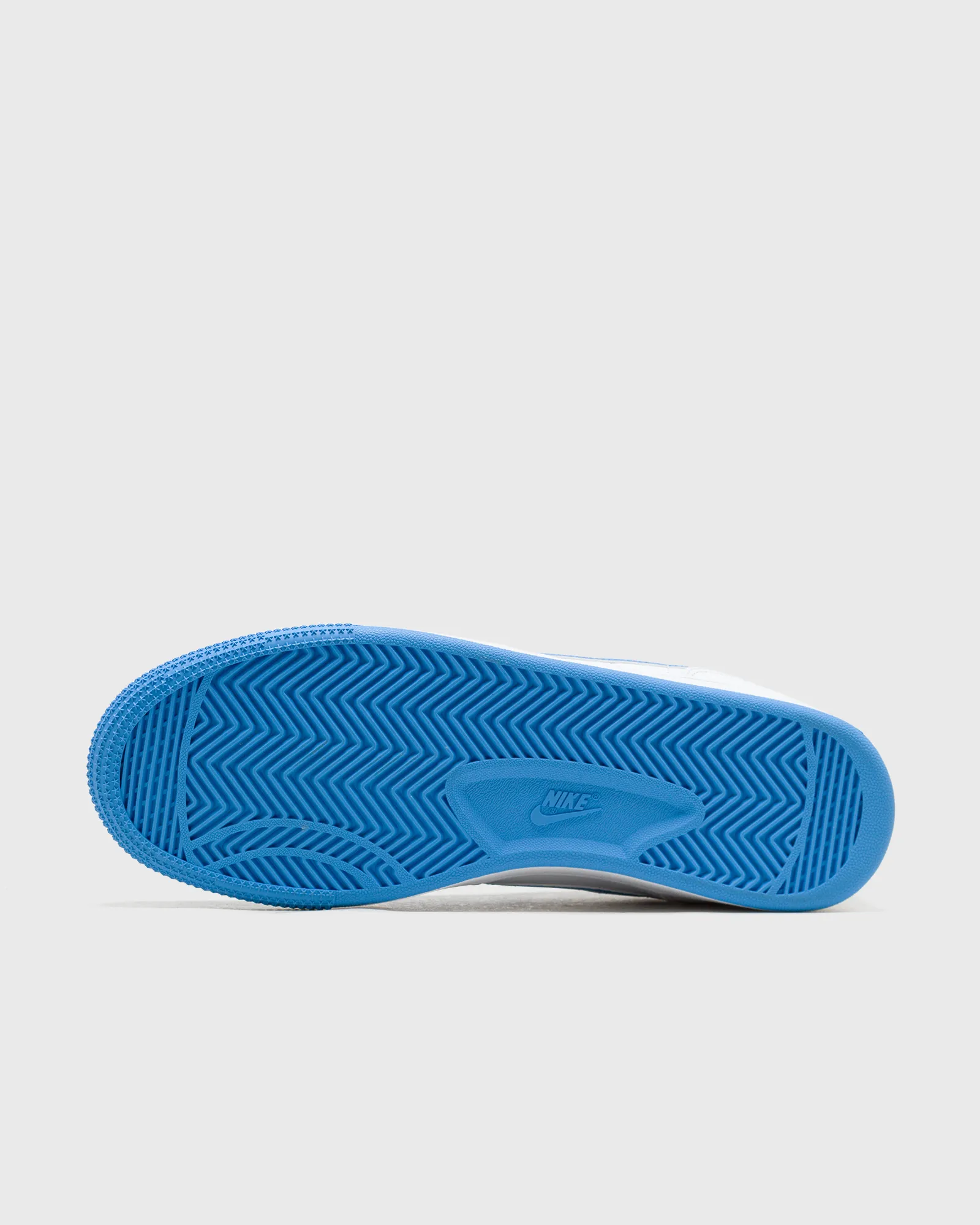 Nike Nike Terminator Low 'University Blue'