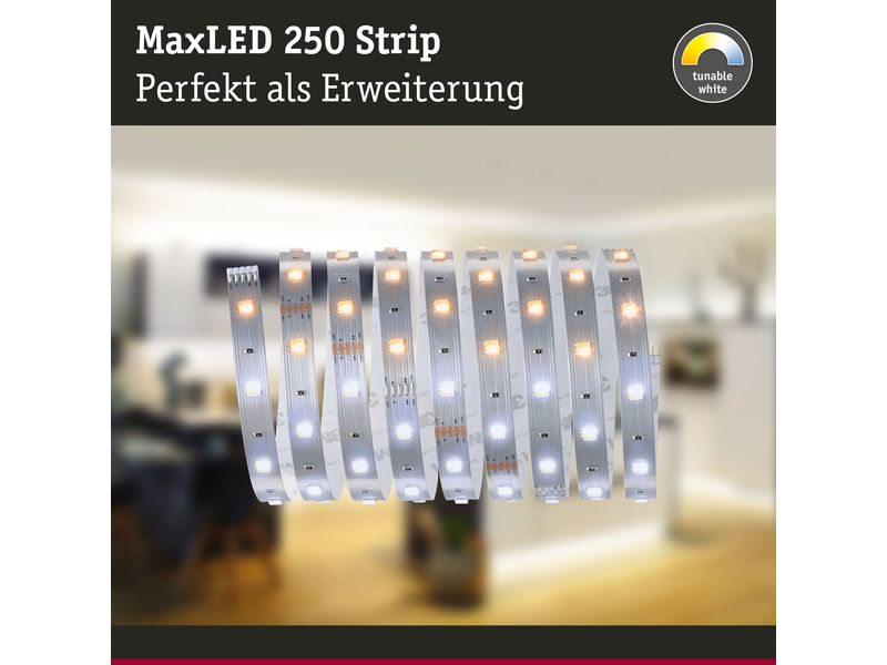 Paulmann LED-Stripe MaxLED 250 Tunable White, 2.5 m Verläng Unbeschichteter LED-Streifen mit variabler Farbtemperatur, kürzbar