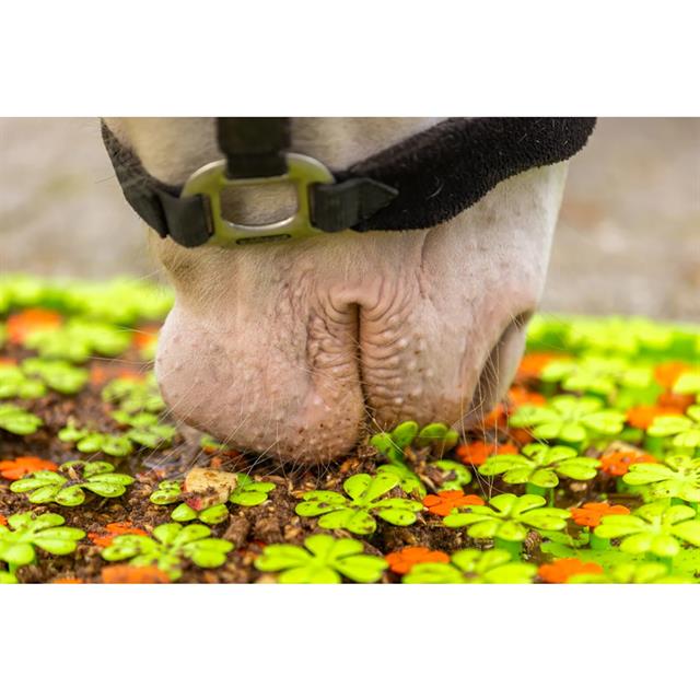 Snuffelmat Excellent Groen