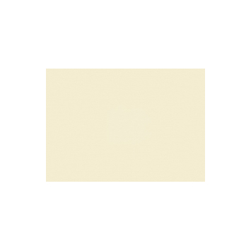 Rolgordijn Recht raam 1001 beige