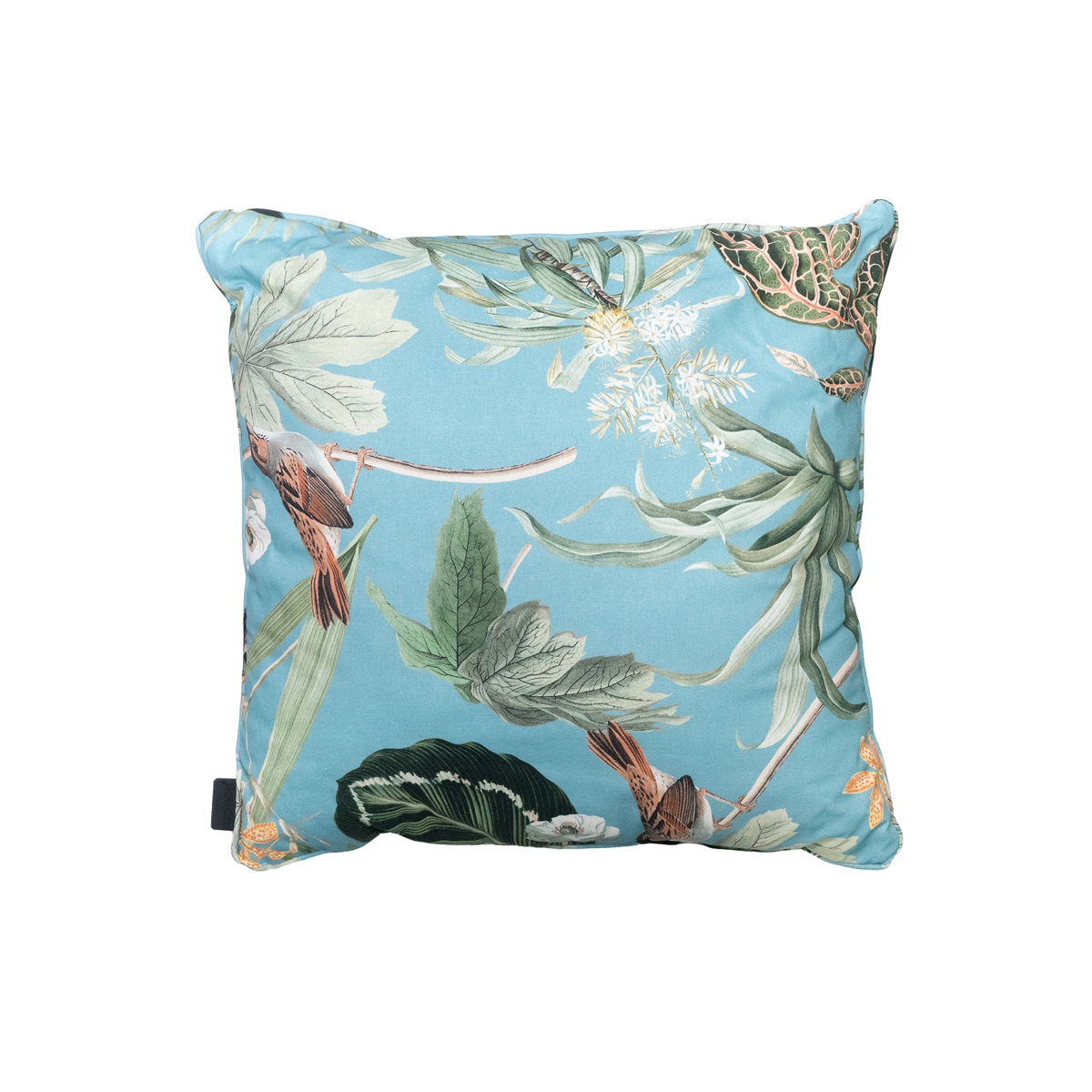 Madison Grasse aqua Sierkussen - Set van 4