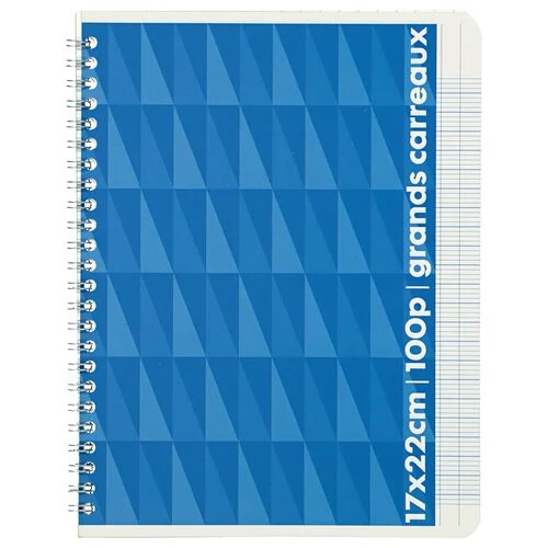 cahier 22x17 - ligné seyès
