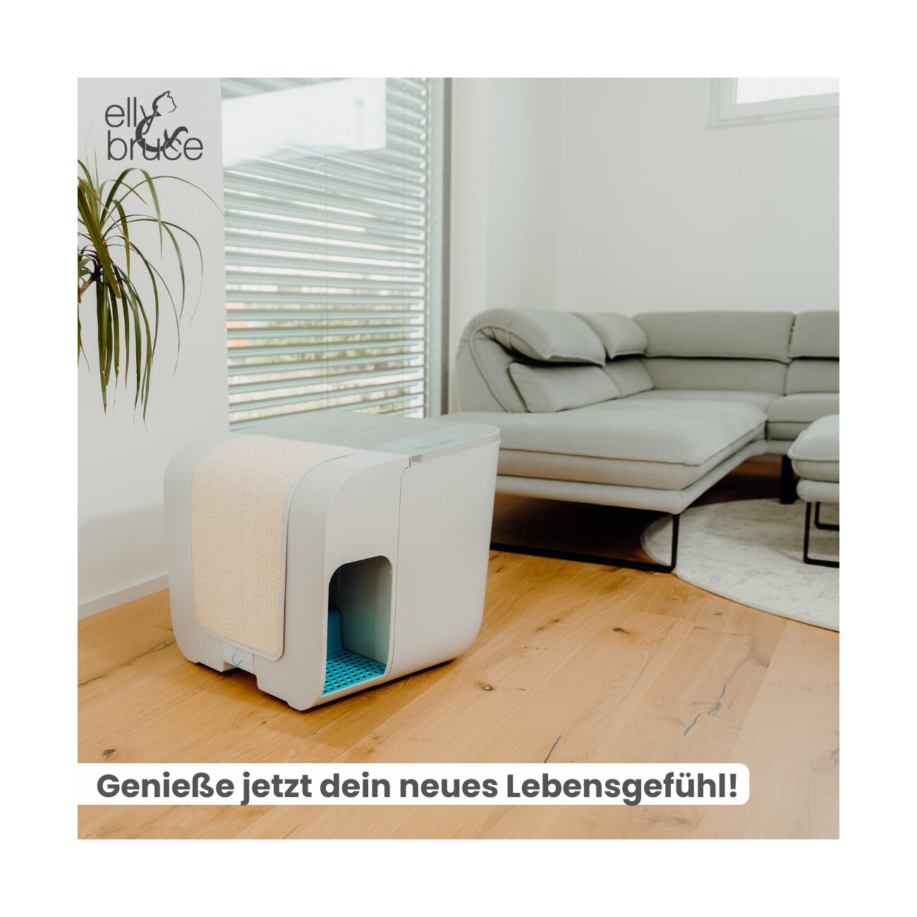 elly&bruce Katzentoilette Cloou weiß