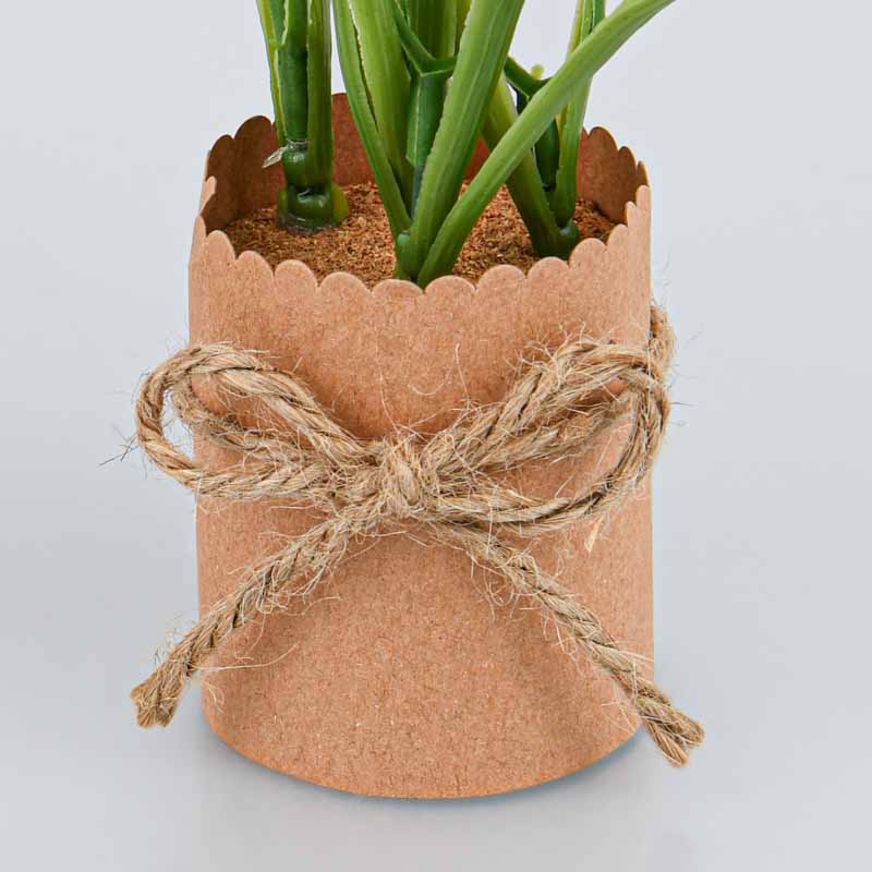 Jonquilles en pot