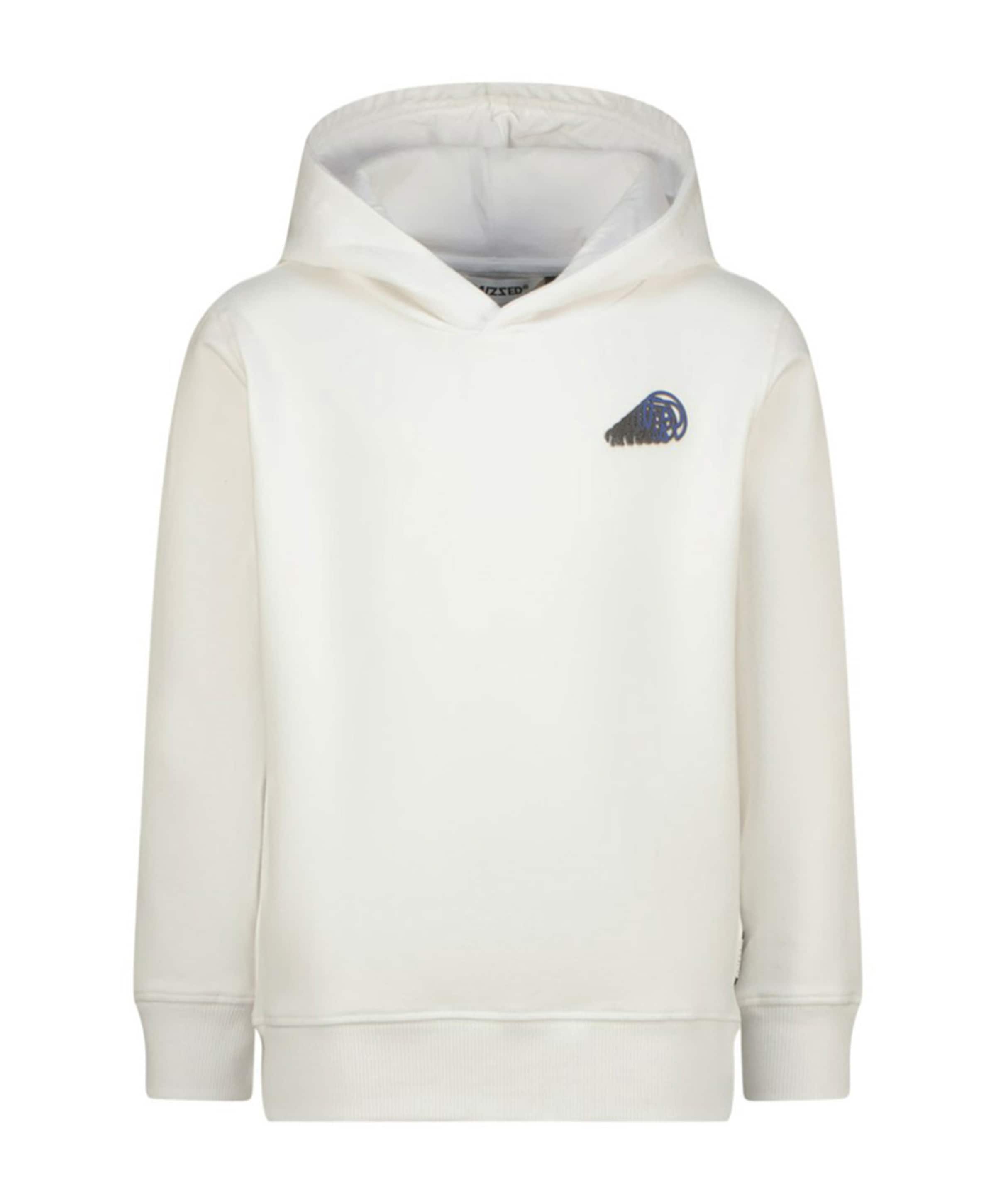 Raizzed Jongens hoodie wit