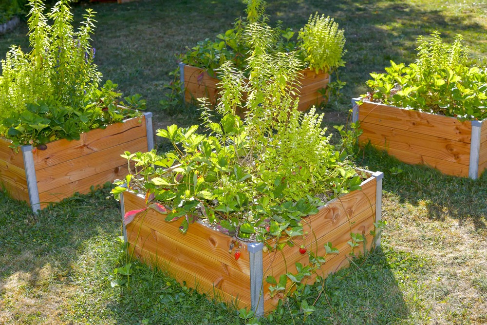 Bac Potager douglas design - l80 x l75x h36cm