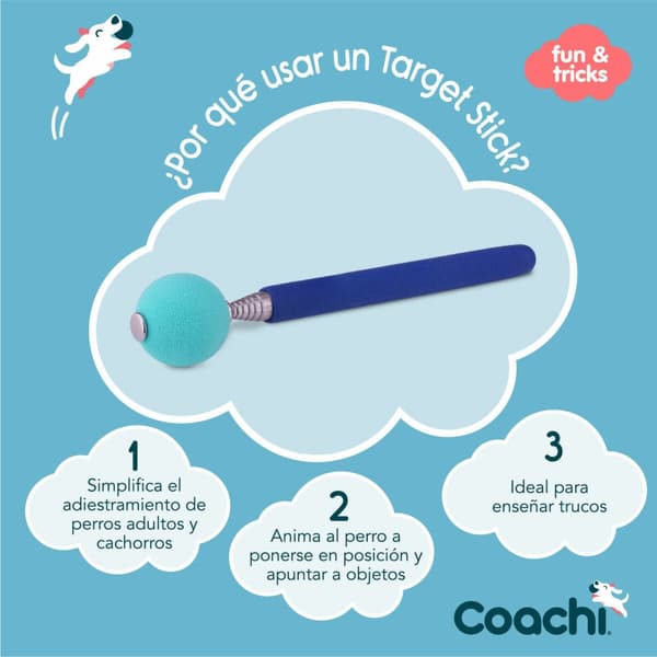 Training toy Coachi Stick Blå