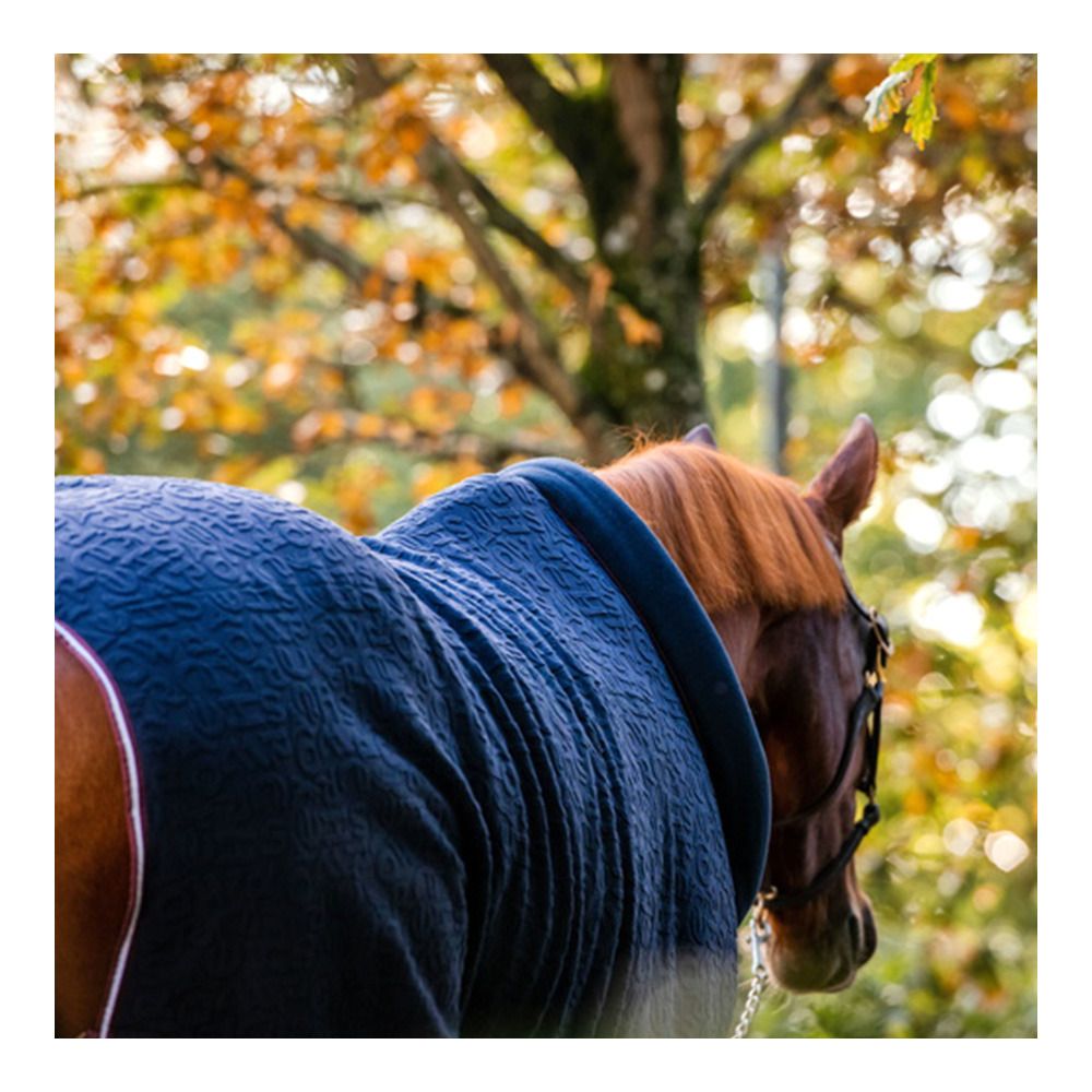 Horseware EMBOSSED COSY NECK 0G - Chemise polaire navy hw print/burgandy/white