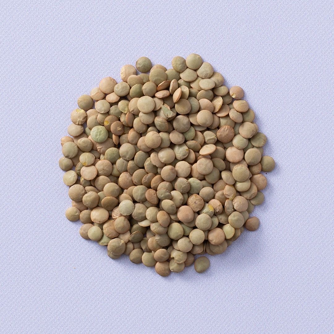 Groene linzen (bio)