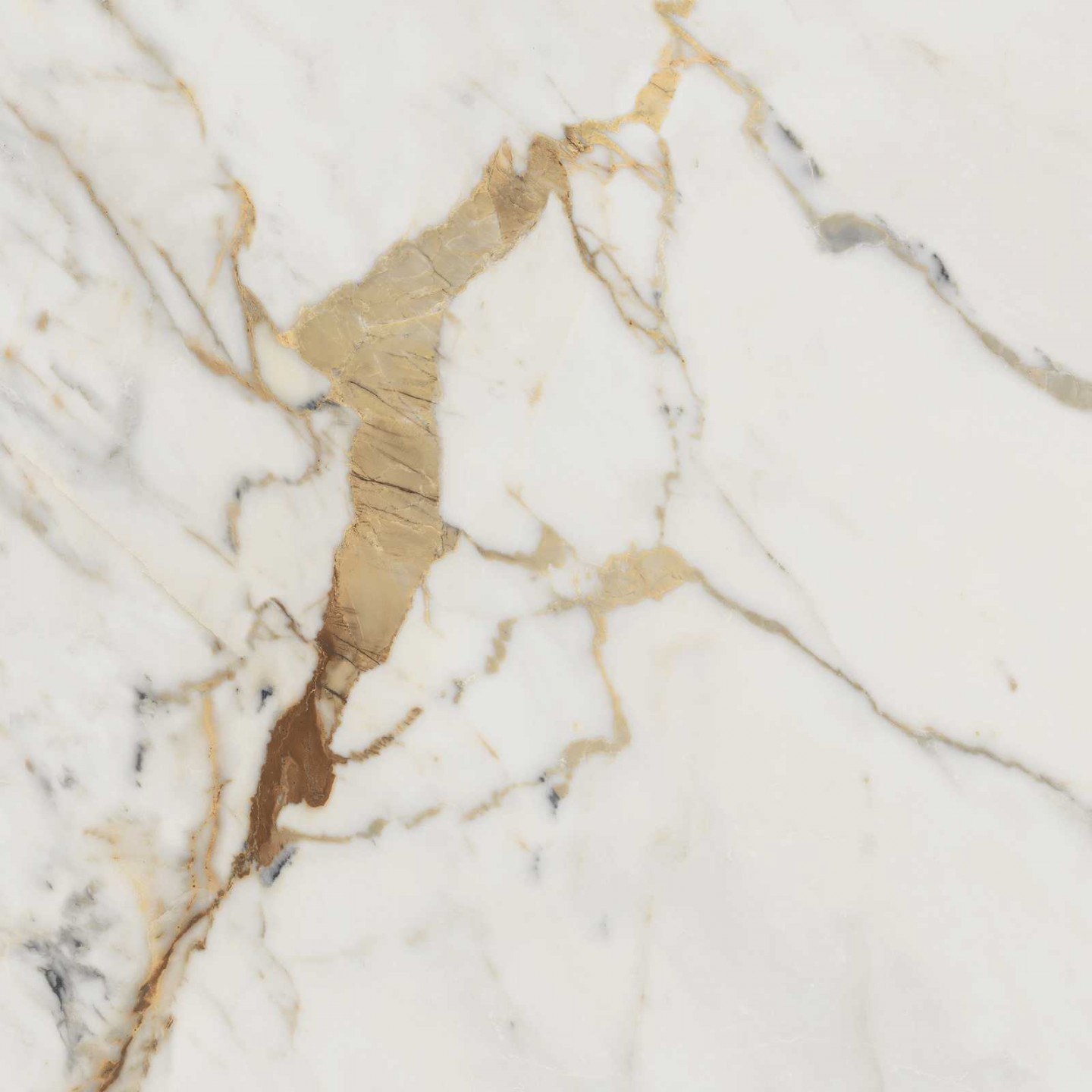 Tegelsample: Navale Mármore vloertegel 60x60cm golden white mat gerectificeerd