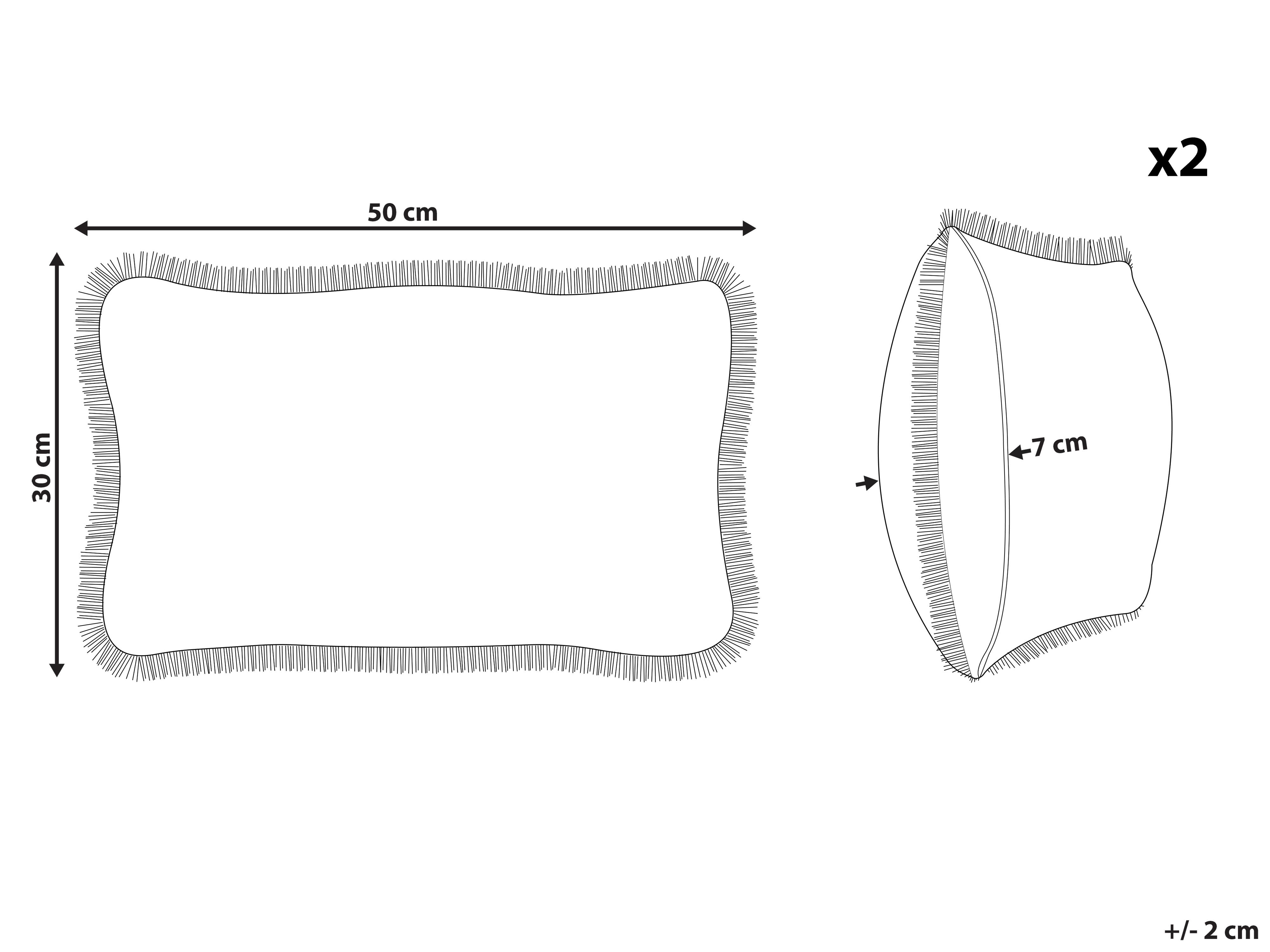 Set van 2 sierkussens POTHOS Fluweel 30 x 50 cm Beige effen