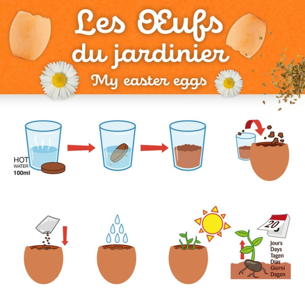 Kit de plantation 4 oeufs de pâques avec fleurs
